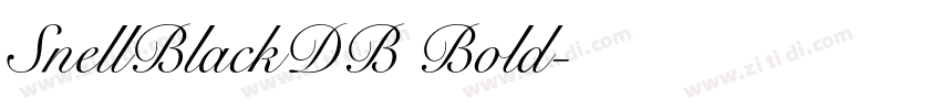 SnellBlackDB Bold字体转换